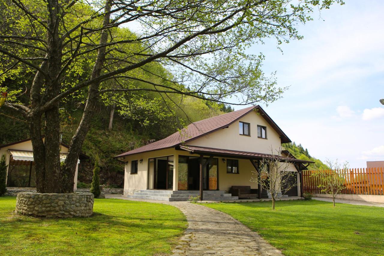 Pensiunea Tudor Breaza Exterior foto